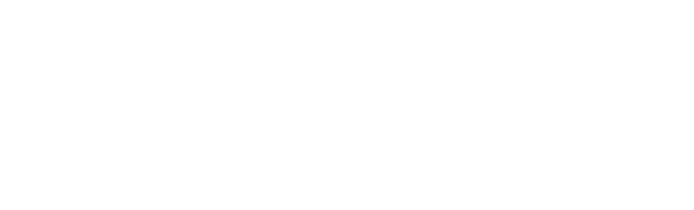 Soltech- logo wit zonder baseline